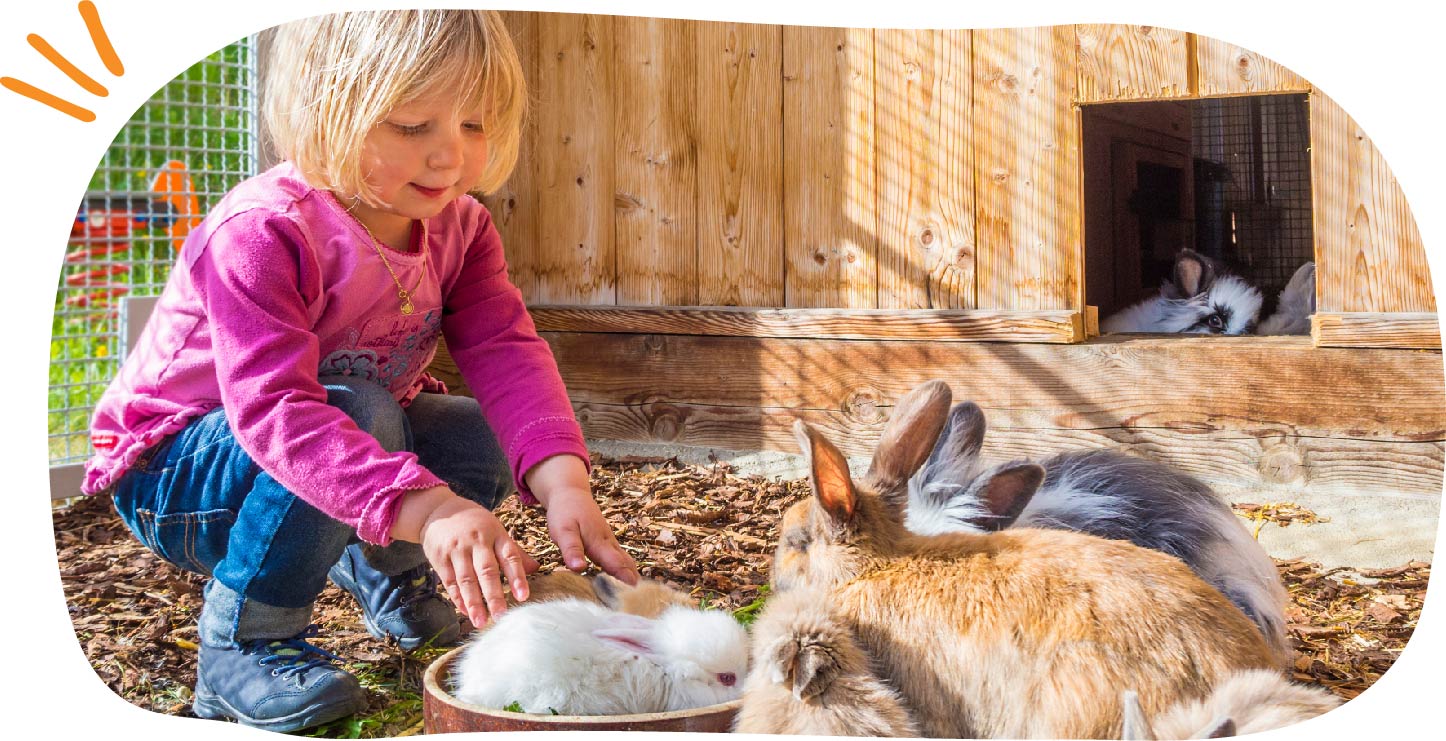ferme pédagogique avec des enfants et des lapins